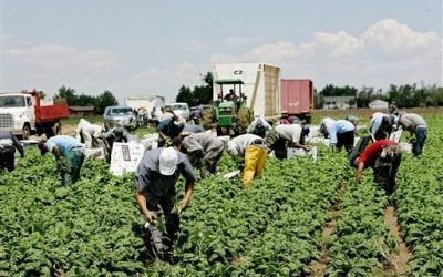 Llamada a la huelga en el campo en el mes de mayo