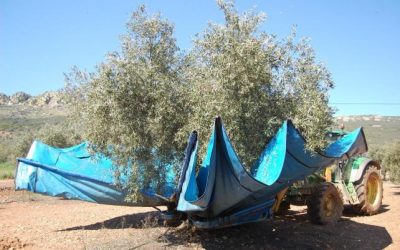 Carbonero se opone a la propuesta de Cañamero para suprimir las peonadas