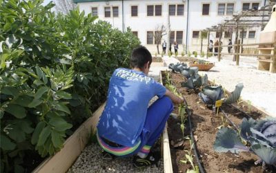 El ayuntamiento de Córdoba realizará a través de empresas de inserción al menos el 4% de los contratos