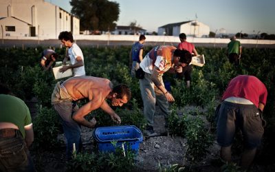 La Junta presiona a los cooperativistas de Marinaleda para que compren la tierra