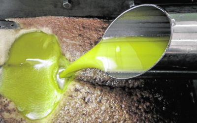 El Gobierno busca una solución a los altibajos del precio del aceite de oliva