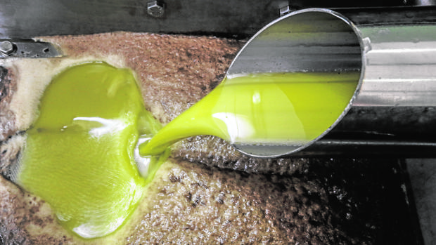El Gobierno busca una solución a los altibajos del precio del aceite de oliva