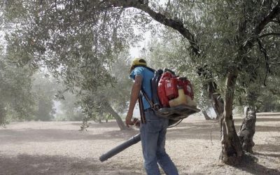 Personas trabajadoras del campo en marcha por su convenio