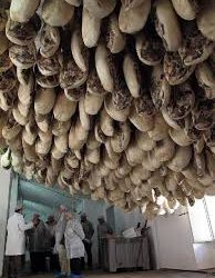 La empresa aragonesa Grupo Jorge entra en la DO Jabugo