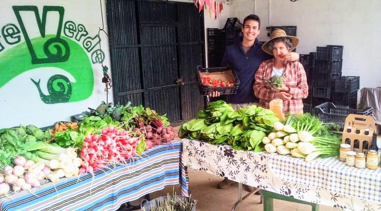 La Reverde, una cooperativa de consumo agroecológico en Jerez de la Frontera