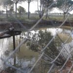 1378496115_820826_1378496666_noticia_normal