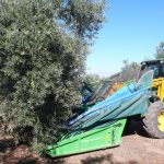 olive_olives_olivas_fruit_tree_nature_harvest_mechanical_harvesting-1103398.jpg!d