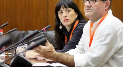 La federación ENLACE realiza una valoración de los Presupuestos andaluces en el Parlamento