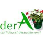 lidera