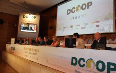 Las grandes cooperativas agrarias andaluzas: herramientas al servicio del capitalismo global
