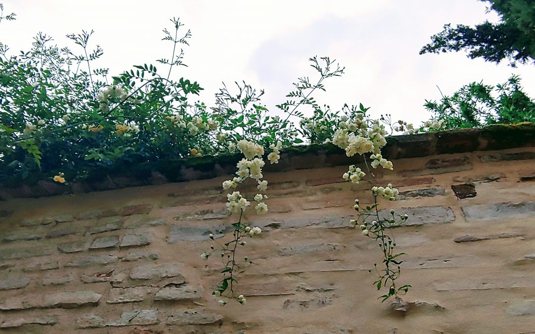 Recuperar el propio centro