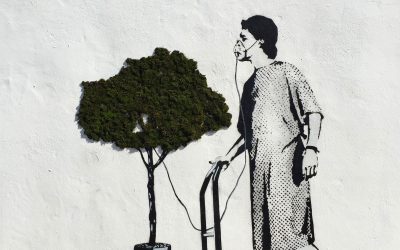 Reeditar políticas económicas