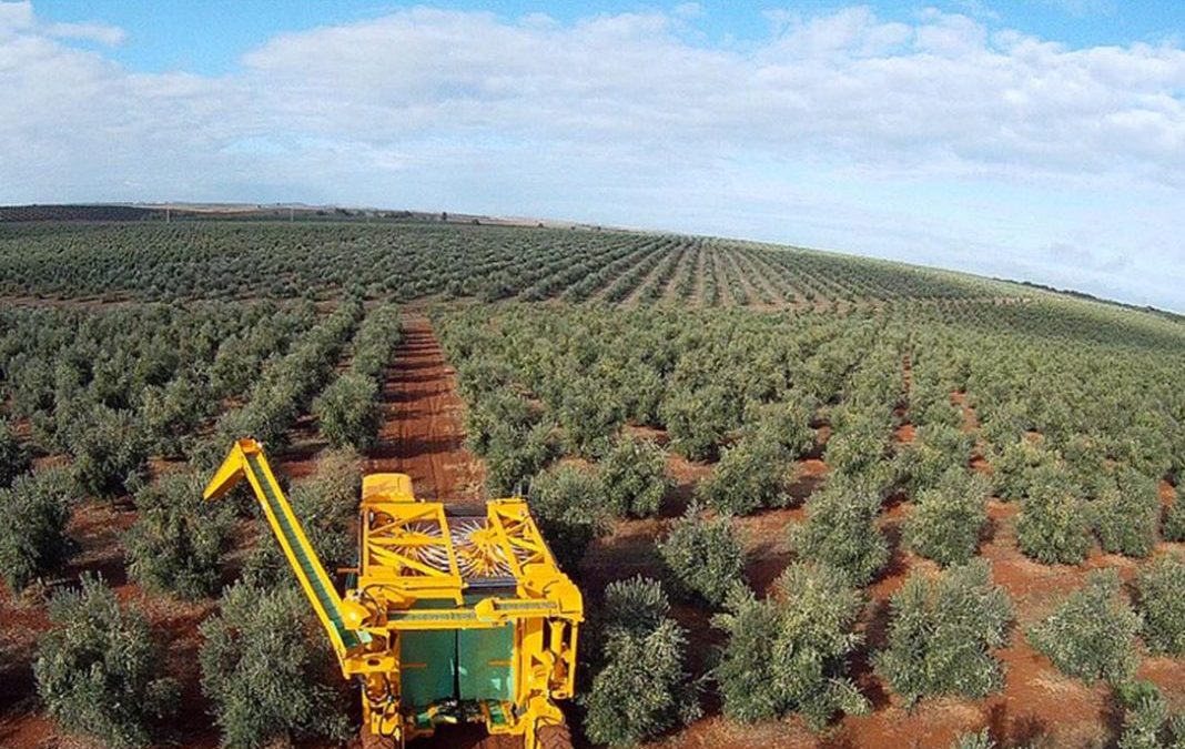 Los desiertos en Andalucía 1