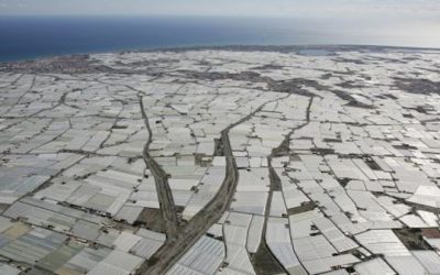 Los desiertos en Andalucía 2