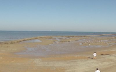 Los corrales marinos de la costa gaditana: memoria, paisaje, retos