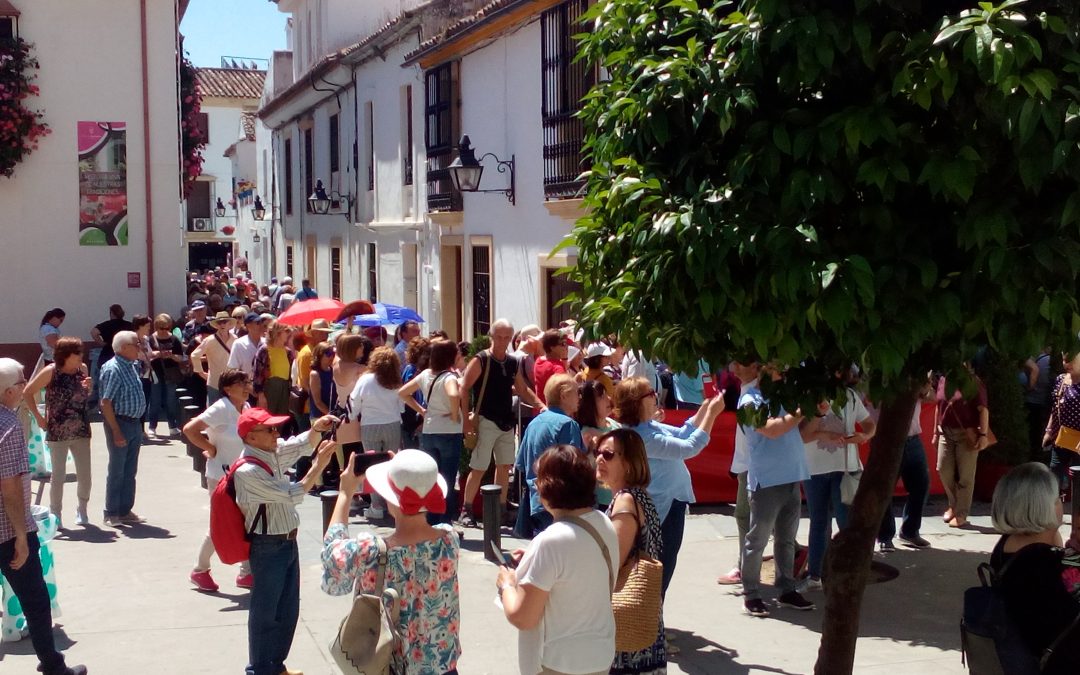¿Vamos de patios?