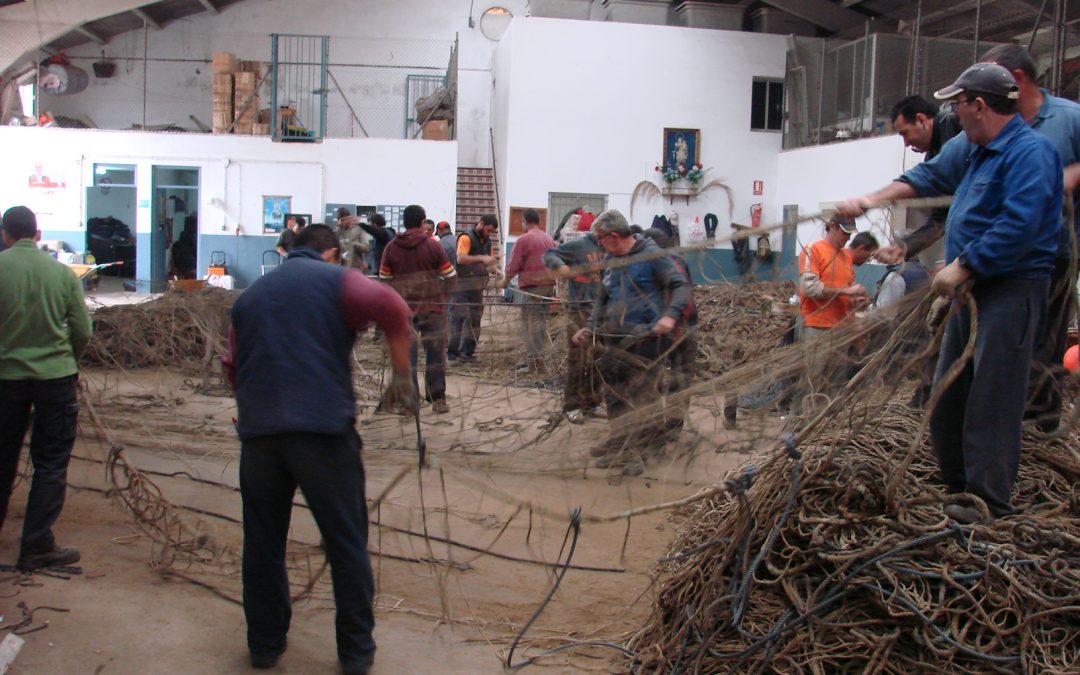 Las almadrabas gaditanas, espejo de la historia social y económica andaluza