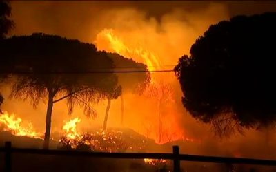 Dos años del incendio de Doñana pero, ¿hemos aprendido?