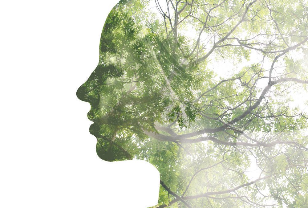 Mujer para la tierra soy. Una reflexión sobre feminismo y ecología desde mi Sur