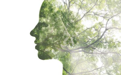 Mujer para la tierra soy. Una reflexión sobre feminismo y ecología desde mi Sur