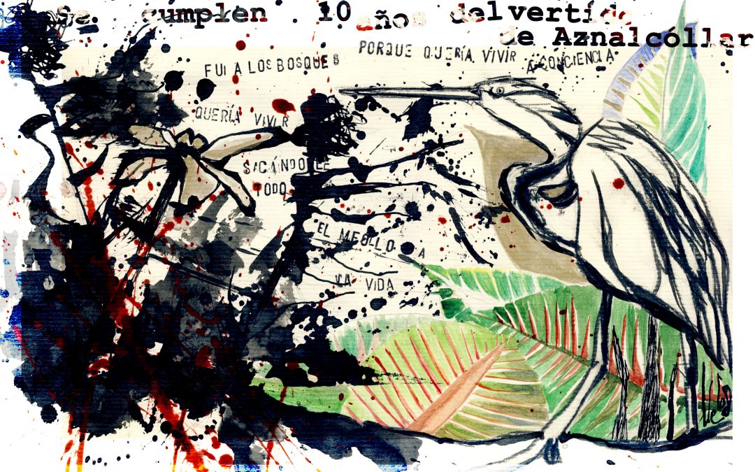 Fealdad y estetización