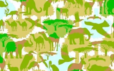 El cambio climático en imágenes
