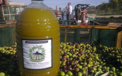 Huertoliva: Economía social y reapropiación obrera de la riqueza