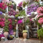 Patio-Parras-5-6-1102×735