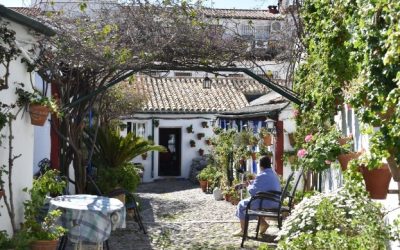 Patios de Córdoba: cierra una fiesta, abre un negocio