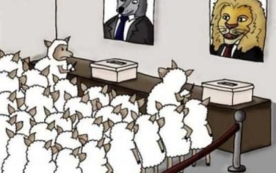 Tras las elecciones, una mirada a los resultados