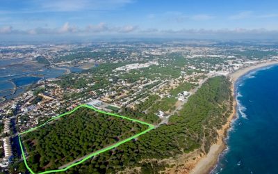 Emergencia climática: (In)acciones desde Andalucía