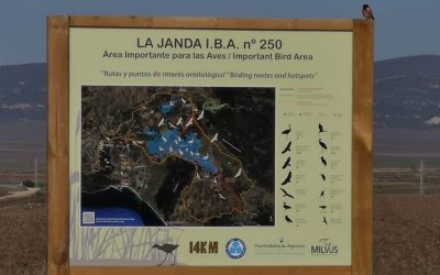 Cuidado con el lenguaje