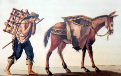 Nosotros, los burros