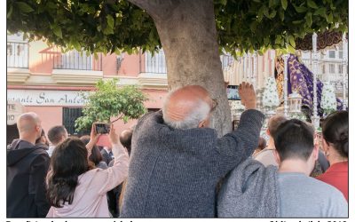 Beneficios de abrazar un árbol