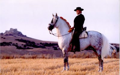 Patriotismo mercantil