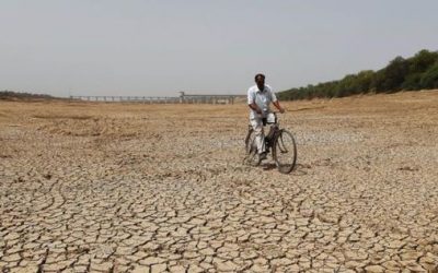 Desigualdad y Calentamiento global, de la mano