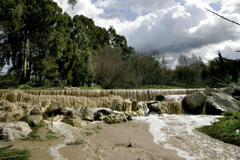 Recuperar la ictiofauna del río Guadaíra