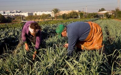 Por otra economía para Andalucía