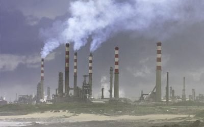 Caminando hacia un modelo socioeconómico verde, de futuro