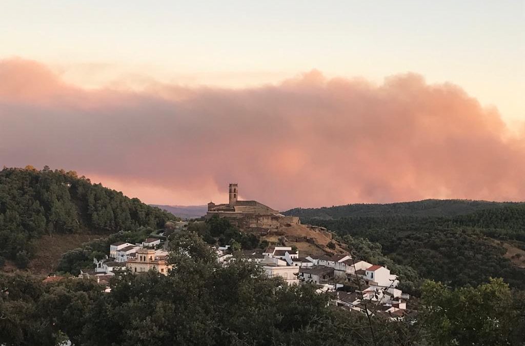 Incendios 6.0. Causas y coyunturas para entender el “fuego de Almonaster”
