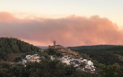 Incendios 6.0. Causas y coyunturas para entender el “fuego de Almonaster”