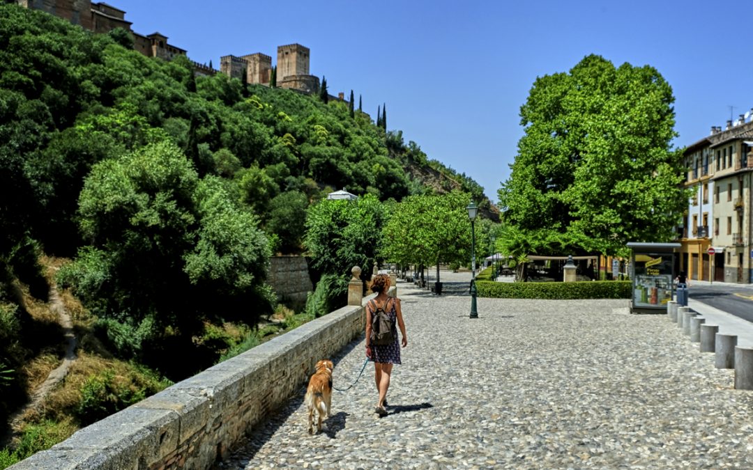 Granada insólita (11)
