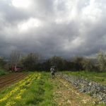hortigas 3