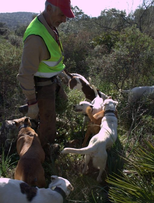 De montes y monterías. A propósito de la declaración de las monterías y rehalas como Actividad de Interés Etnológico en Andalucía.