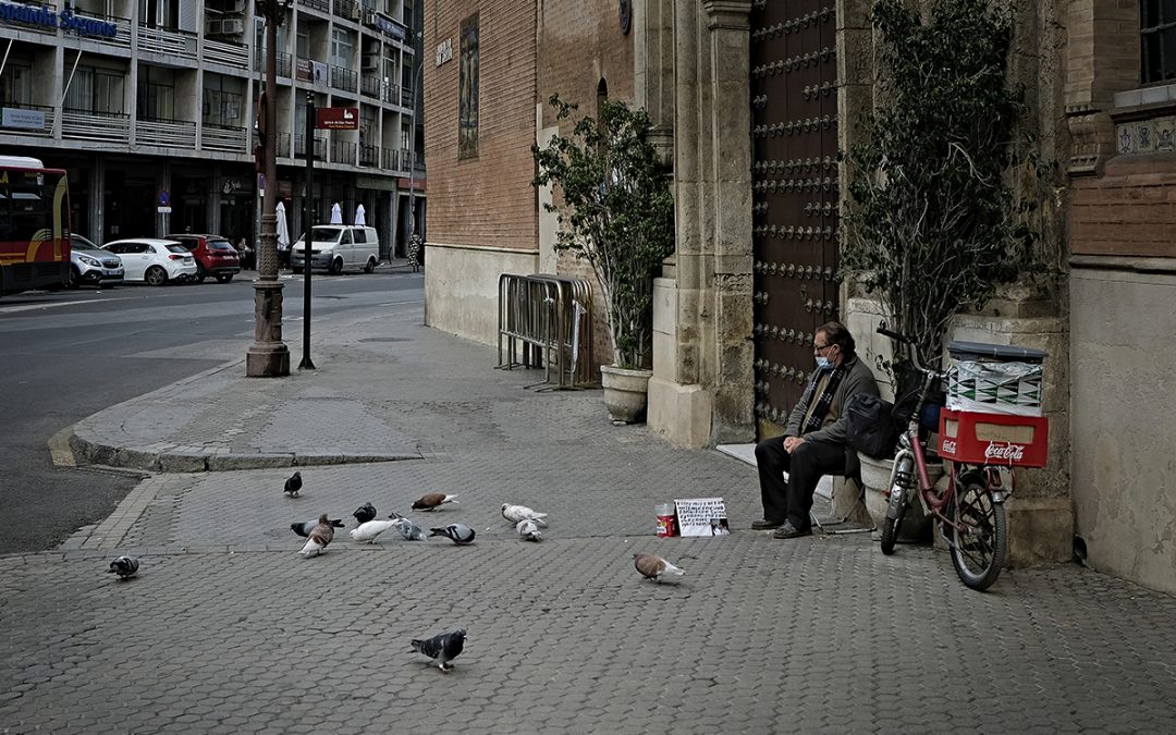 Palomas, Sevilla