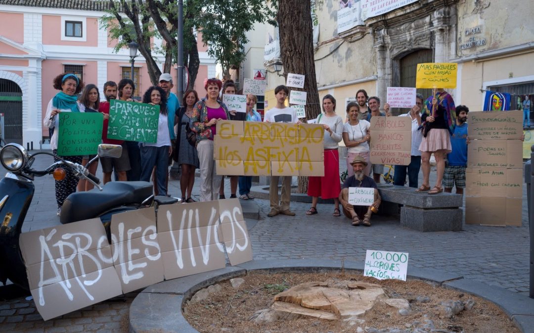 Los árboles y el derecho a la ciudad