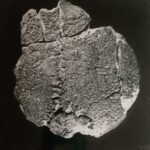 Trozo craneal descubierto en 1982 en el yacimiento de Venta Micena (norte de Granada) y conocido como el Hombre de Orce.