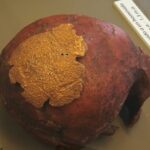 e7b35004-dbf2-4cc9-bf27-4abbd2b3bcd5