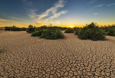 Se encienden las alarmas ante la sequía en Andalucía