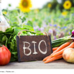 agricultura-ecologica